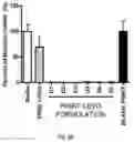 Fig. 06 - ENGINEERED BIOCOMPATIBLE ANTIBIOTIC PARTICLES AND THEIR USE AGAINST URINARY TRACT INFECTION