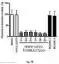 Fig. 07 - ENGINEERED BIOCOMPATIBLE ANTIBIOTIC PARTICLES AND THEIR USE AGAINST URINARY TRACT INFECTION