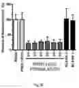 Fig. 08 - ENGINEERED BIOCOMPATIBLE ANTIBIOTIC PARTICLES AND THEIR USE AGAINST URINARY TRACT INFECTION