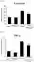Fig. 06 - Composition comprising oleanolic acid acetate as active ingredient for preventing, alleviating, or treating renal toxicity induced by medicine