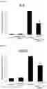 Fig. 07 - Composition comprising oleanolic acid acetate as active ingredient for preventing, alleviating, or treating renal toxicity induced by medicine
