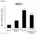 Fig. 08 - Composition comprising oleanolic acid acetate as active ingredient for preventing, alleviating, or treating renal toxicity induced by medicine
