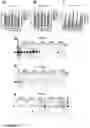 Fig. 07 - Human papilloma virus replication inhibitors