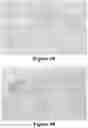 Fig. 42 - Methods of Reducing Mammographic Breast Density and/or Breast Cancer Risk