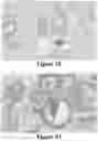 Fig. 44 - Methods of Reducing Mammographic Breast Density and/or Breast Cancer Risk