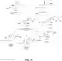 Fig. 17 - COMPOSITIONS OF OBETICHOLIC ACID AND METHODS OF USE
