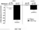 Fig. 25 - COMPOSITIONS OF OBETICHOLIC ACID AND METHODS OF USE