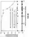 Fig. 06 - Pharmaceutical tetracycline composition for dermatological use