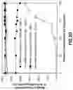 Fig. 07 - Pharmaceutical tetracycline composition for dermatological use