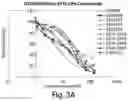 Fig. 06 - SMALL MOLECULE CD38 INHIBITORS AND METHODS OF USING SAME