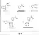 Fig. 12 - SMALL MOLECULE CD38 INHIBITORS AND METHODS OF USING SAME