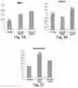 Fig. 13 - SMALL MOLECULE CD38 INHIBITORS AND METHODS OF USING SAME