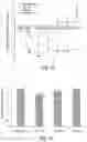 Fig. 18 - SMALL MOLECULE CD38 INHIBITORS AND METHODS OF USING SAME