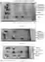 Fig. 03 - Phospholipid compositions