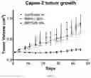 Fig. 07 - Phospholipid compositions