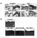 Fig. 01 - Use of cADPR or NAADP antagonists