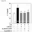 Fig. 04 - Use of cADPR or NAADP antagonists