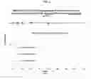 Fig. 07 - Compounds and methods for treating neurological and cardiovascular conditions