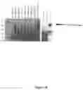 Fig. 03 - CFTR MRNA compositions and related methods and uses