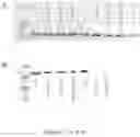Fig. 14 - CFTR MRNA compositions and related methods and uses