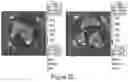 Fig. 27 - CFTR MRNA compositions and related methods and uses