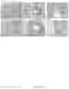 Fig. 32 - CFTR MRNA compositions and related methods and uses