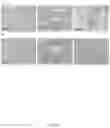 Fig. 47 - CFTR MRNA compositions and related methods and uses