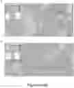 Fig. 51 - CFTR MRNA compositions and related methods and uses