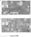 Fig. 53 - CFTR MRNA compositions and related methods and uses
