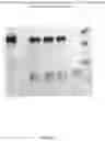 Fig. 56 - CFTR MRNA compositions and related methods and uses
