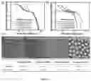 Fig. 07 - POLYMER LUNG SURFACTANTS