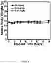Fig. 09 - POLYMER LUNG SURFACTANTS