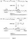 Fig. 16 - Antimicrobial poly(alkylated imidazolium) salts