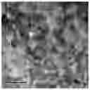 Fig. 01 - Preparation of antimicrobial agent based on ZnO/GQD-PEI composites