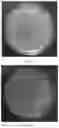 Fig. 03 - Preparation of antimicrobial agent based on ZnO/GQD-PEI composites