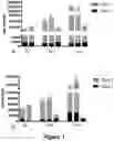 Fig. 02 - METHOD FOR GENERATING T CELLS PROGENITORS