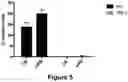 Fig. 05 - METHOD FOR GENERATING T CELLS PROGENITORS