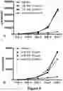 Fig. 06 - METHOD FOR GENERATING T CELLS PROGENITORS