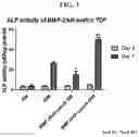 Fig. 04 - COMPOSITION FOR PREVENTING OR TREATING BONE DISEASES WHICH HAS EXCELLENT BONE REGENERATION EFFECT