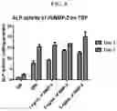 Fig. 05 - COMPOSITION FOR PREVENTING OR TREATING BONE DISEASES WHICH HAS EXCELLENT BONE REGENERATION EFFECT