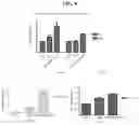 Fig. 07 - COMPOSITION FOR PREVENTING OR TREATING BONE DISEASES WHICH HAS EXCELLENT BONE REGENERATION EFFECT