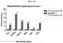 Fig. 17 - COMPOSITION FOR PREVENTING OR TREATING BONE DISEASES WHICH HAS EXCELLENT BONE REGENERATION EFFECT