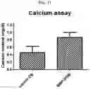Fig. 18 - COMPOSITION FOR PREVENTING OR TREATING BONE DISEASES WHICH HAS EXCELLENT BONE REGENERATION EFFECT