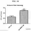 Fig. 19 - COMPOSITION FOR PREVENTING OR TREATING BONE DISEASES WHICH HAS EXCELLENT BONE REGENERATION EFFECT