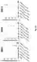 Fig. 05 - Compositions and methods for expansion of embryonic hematopoietic stem cells