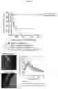 Fig. 04 - FasL-engineered biomaterials with immunomodulatory function