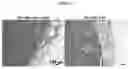 Fig. 12 - FasL-engineered biomaterials with immunomodulatory function