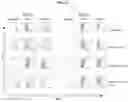 Fig. 15 - FasL-engineered biomaterials with immunomodulatory function