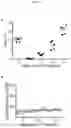 Fig. 18 - FasL-engineered biomaterials with immunomodulatory function