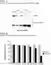 Fig. 08 - COMPOSITIONS AND METHODS OF USE